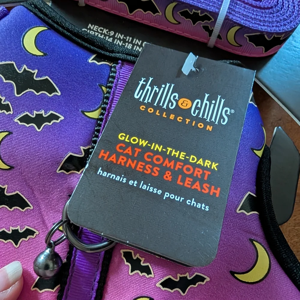 thrills & chills Glow-in-the-Dark Cat Harness & Orange Halloween Cat Shirt Set